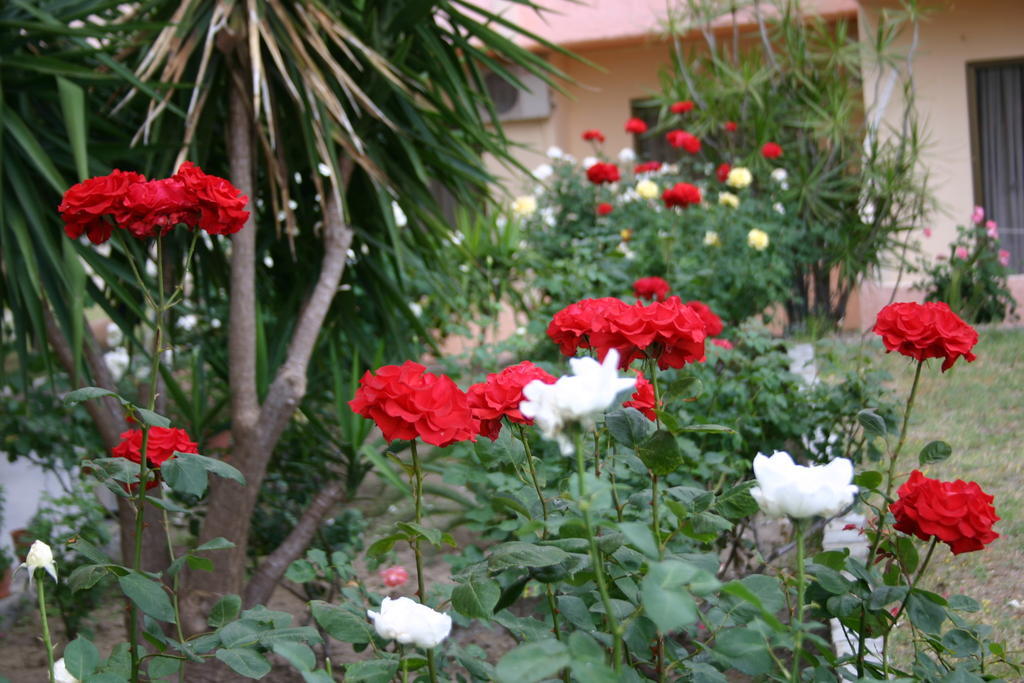 Lyristis Dinos Studios & Apartments Faliraki Bagian luar foto
